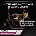 Thumbnail 4 de Purina Pro Plan Comida Húmeda Delicate Pavo 24 latas 🐱