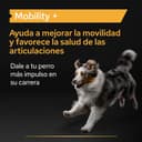 Thumbnail 1 de Purina Pro Plan Mobility+ suplemento 4×60 g