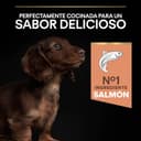 Thumbnail 2 de Purina Pro Plan Small Puppy pienso 12 kg piel
