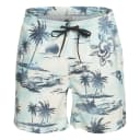 Thumbnail 1 de Quiksilver Everyday Mix 17" Short de natación hombre