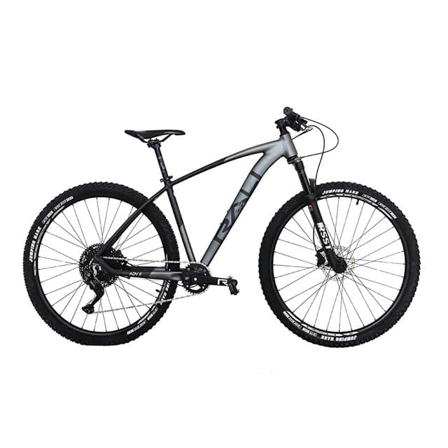 Imagen de Rali ADVII 29 MTB aluminio 1x11 velocidad en OfertitasTOP