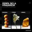 Thumbnail 5 de Redken Acidic Bonding Concentrate 150 ml — tratamiento sin aclarado para fortalecer el cabello 💇♀️