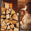 Thumbnail 2 de Relaxdays Carro Leña 100×41×42,5 cm, 60 kg 🪵