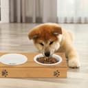 Thumbnail 1 de Relaxdays Comedero doble de bambú y cerámica 29,5 cm 🐶
