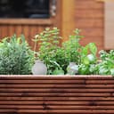 Thumbnail 4 de Relaxdays 4 Picos Globo autorriego 100 ml para plantas 🌱