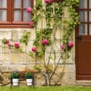 Thumbnail 4 de Relaxdays Soporte para 3 macetas Ø 9 cm, hierro y madera 🌿