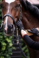 Thumbnail 5 de Roeckl