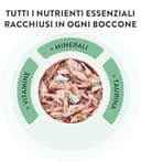 Thumbnail 6 de Schesir Atún y Salmón 12x85 g comida húmeda para gatos 🐱