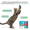 Thumbnail 8 de Schesir Atún y Salmón 12x85 g comida húmeda para gatos 🐱