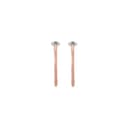 Thumbnail principal de Skagen Stak SKJ1874791 pendientes oro rosa de acero inoxidable 👩🎤