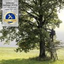 Thumbnail 4 de STEINER Nighthunter 8x56 prismáticos de caza 📷