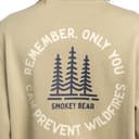 Thumbnail 4 de Sudadera para Hombre Element SBXE Remember 🧥