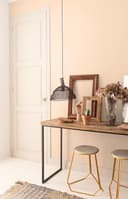 Thumbnail 3 de Tn.una Capa Salmon Suave 4l pintura 4 l 🟠