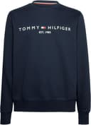 Thumbnail 3 de Tommy Hilfiger Sudadera Azul Logo para Hombre, XXL 🌟