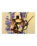 Thumbnail 2 de Valentino Born in Roma Yellow Dream perfume 100 ml