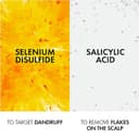 Thumbnail 2 de Vichy Dercos Technique Champú Anticaspa 200 ml