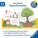 Thumbnail 2 de Wieso? Weshalb? Warum? junior Band 6: El bosque 📚