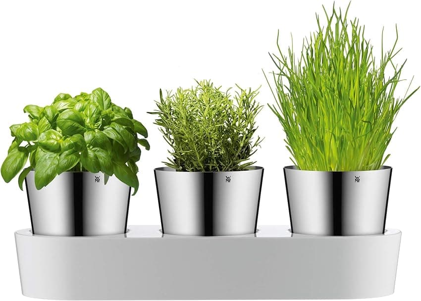 Imagen de WMF Gourmet Macetero de hierbas con riego automático 36 cm 🌿 en OfertitasTOP