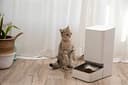 Thumbnail 3 de Xiaomi Smart Pet Food Feeder comedero automático 1,8 kg 🐶🐱