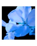 Thumbnail 2 de Yves Saint Laurent Y Eau de Parfum Men 60 ml 🧴