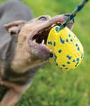Thumbnail 8 de Zeus Nitro Pelota con cuerda, 9,2 cm 🐶