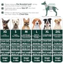 Thumbnail 4 de AOFITEE Small Dog Jumper S, turtleneck, harness hole 🐶