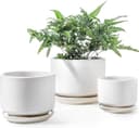Thumbnail principal de LE TAUCI Ceramic Plant Pots set with drainage 11 cm 🌱