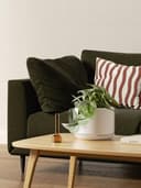 Thumbnail 3 de LE TAUCI Ceramic Plant Pots set with drainage 11 cm 🌱