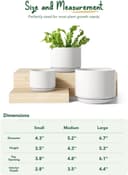 Thumbnail 4 de LE TAUCI Ceramic Plant Pots set with drainage 11 cm 🌱