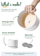 Thumbnail 5 de LE TAUCI Ceramic Plant Pots set with drainage 11 cm 🌱