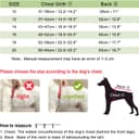 Thumbnail 3 de LUOWAN Dog Coat Waterproof 1 harness 🐶