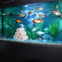 Thumbnail 4 de MC MEICHUANG 6-Tube Ceramic Shrimp Shelter for Aquariums 🐠