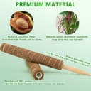 Thumbnail 2 de Moss Pole 173 cm 6-Pack coir climbing poles 🌿