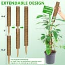 Thumbnail 3 de Moss Pole 173 cm 6-Pack coir climbing poles 🌿