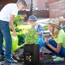 Thumbnail 6 de OPPOLIFE 10 Gallon grow bags with flap window 🪴