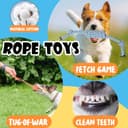 Thumbnail 3 de Speedy Panther 10 Pack Luxury Dog Toys 🐶