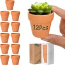 Thumbnail principal de T4U 6.5cm Terracotta Plant Pots 12 Pcs 🌱