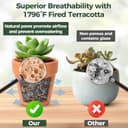 Thumbnail 6 de T4U 6.5cm Terracotta Plant Pots 12 Pcs 🌱