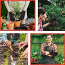 Thumbnail 1 de WESTWOOD FOX Safety Work Gloves Medium — thorn‑proof, padded palms 🧤