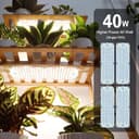 Thumbnail 2 de 4Pack Flat Panel Grow Lights 40W 🌱