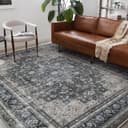 Thumbnail 3 de CHAMPLANT Area Rug 8x10 washable gray vintage carpet 🧶
