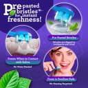 Thumbnail 2 de GuruNanda Ready-to-Go Disposable Mini Travel Toothbrushes 70 ct 🪥