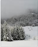 Thumbnail principal de Stupell Industries Winter Snowscape Canvas Wall Art 🖼️