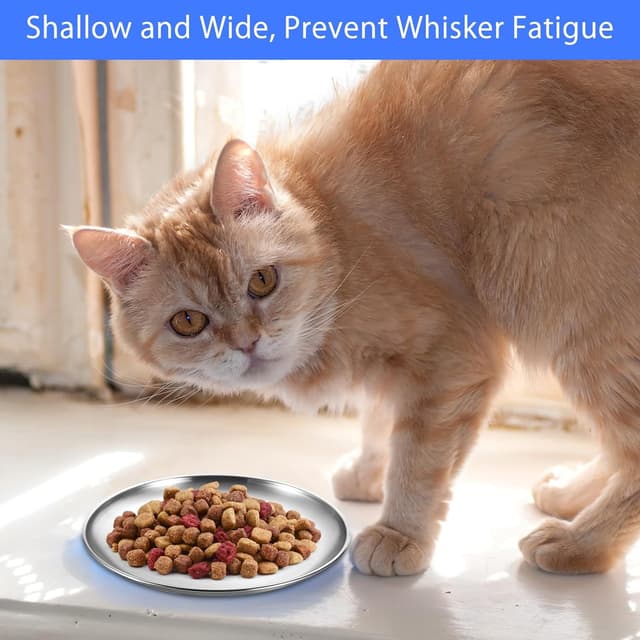 Thumbnail 6 de UOCAI Katzennapf Flach Edelstahl 14 cm