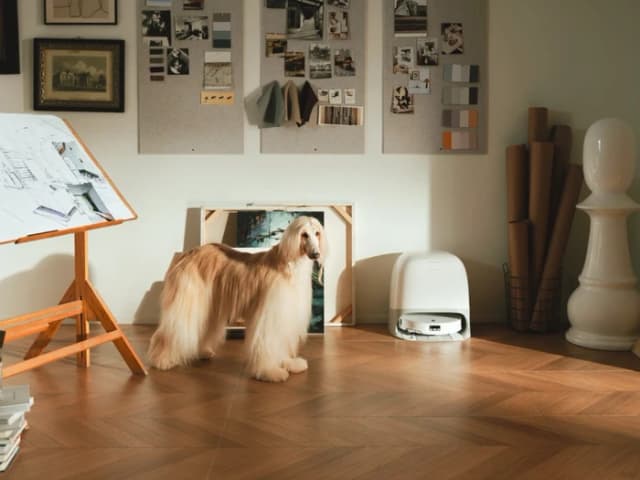 Thumbnail 14 de Roborock Qrevo Curv 2 ProX – 4 cm‑Höhe 🤖