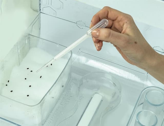 Detalle de Clementoni Smart-Tech Greenhouse Interactive STEM Plant Science Kit (Kids 8+)