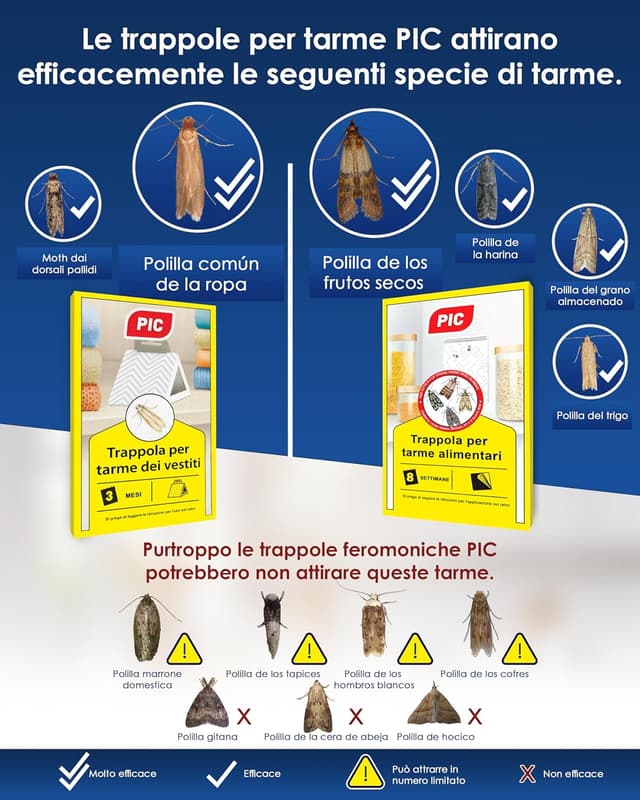Thumbnail 2 de PIC Trappola per tarme Alimentari 8 settimane 🪰