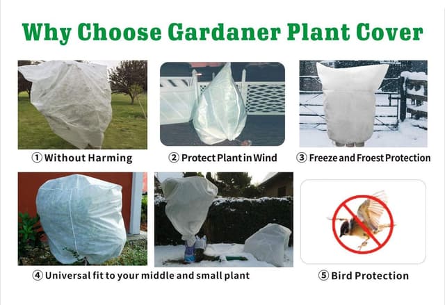 Thumbnail 2 de Lot de 2 voiles hivernage pour plantes