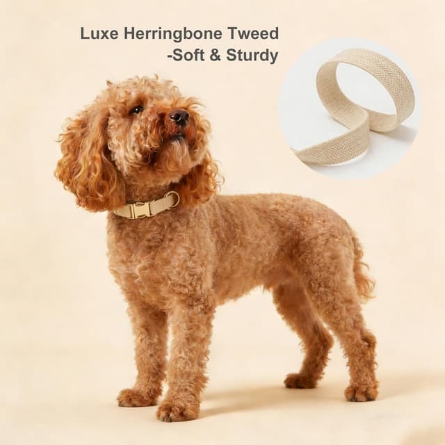 Detalle 2 de Petiry Tweed Dog Collar with Quick Release Buckle (Beige) – Adjustable 40–66cm