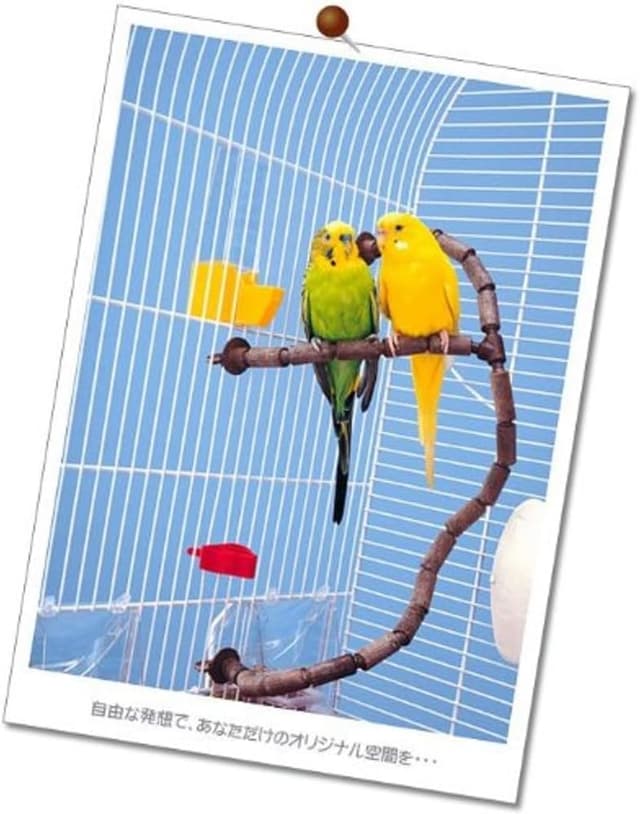 Thumbnail 3 de Ferplast Perchoir Flex 12 mm 🐦